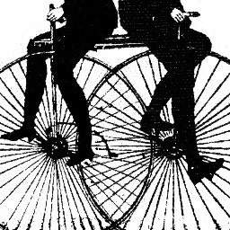 tandemtoronto's profile picture. PRECIOUS COFFILY FLUIDS