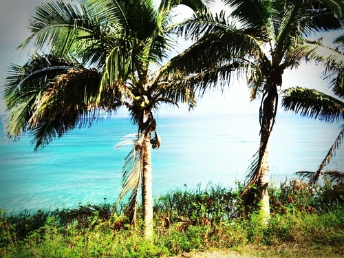 OOYES555's profile picture. こんちゃー！ 滋賀(^_^)