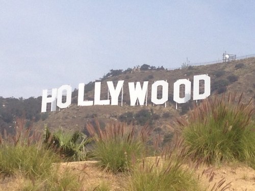 loualandel's profile picture. 