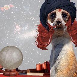 Mãe Têca Buzios, Cartas, Tarot, Bola de Cristal, Signos e tudo. Sou Tia do @SuricateSeboso