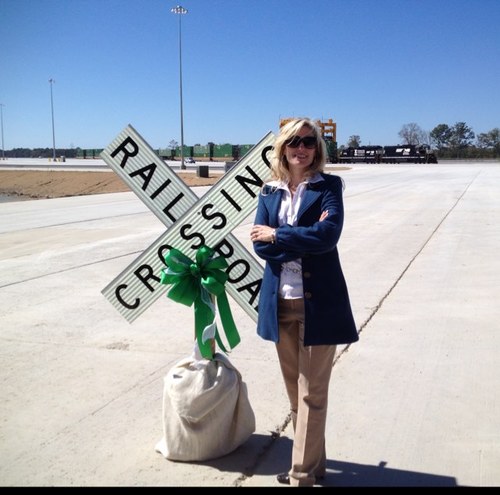 Mom. Scout Leader. PTA Volunteer. Auburn Fan. Cradle Episcopalian. Southerner. Cat Herder. Political Junkie. Voter. Lobbyist.