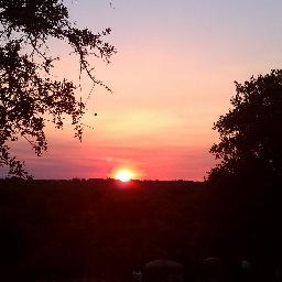 ElmerInDaATX's profile picture. 