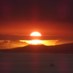 Cathy Chenevey (@antarcticgal) Twitter profile photo