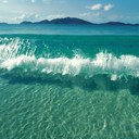 Sara Steinberg - @SaraSteinberg_ - Twitter