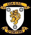 Gaelic Games Club for all 🐝