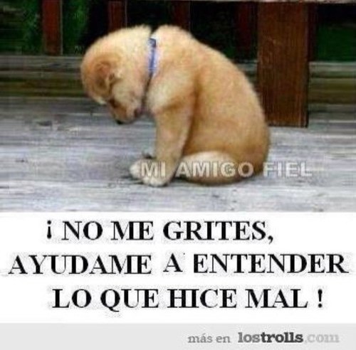 joaquindomingo1's profile picture. doctorado en mal de ojo y envidias