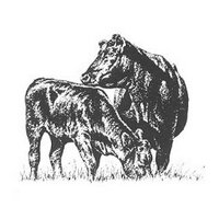 AngusBreeder (@angus_breeder) 's Twitter Profile