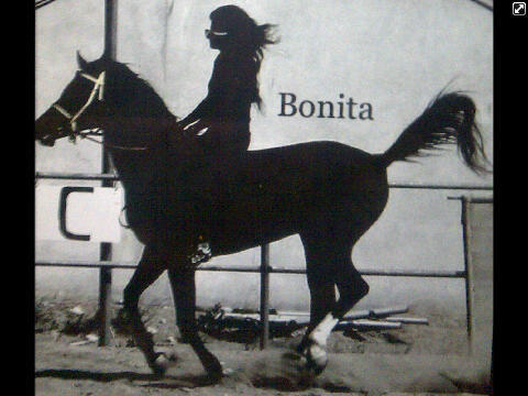 DMES Graduate .. 19 Years Old & A Horse Rider