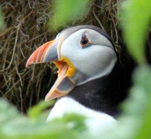 BSc Biology, Animal Biology, Zoology, Biomed, Wildlife Conservation; MSc Applied Ecology; Research. See our @uniofglos page for more on our courses