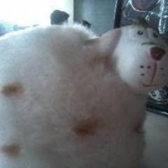 Timotio_Totosao's profile picture. Sou muito sexy e gostoso *-*