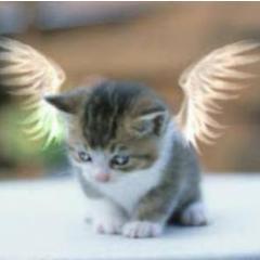 taratetavie's profile picture. 