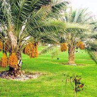 أ.د. مريم بنت راشد التميمي🇸🇦 (@tamimi_mrs) 's Twitter Profile Photo أ.د. مريم بنت راشد التميمي🇸🇦 (@tamimi_mrs) 's Twitter Profile Photo