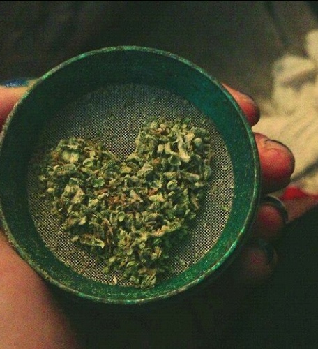 From awesome facts to weed related stoner funny musicians and new upcoming movies and random stuff people love