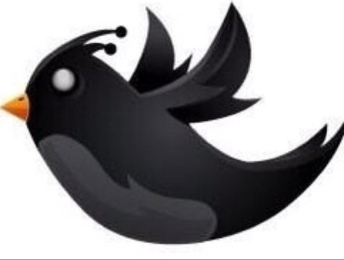 bllacktwitteer's profile picture. 