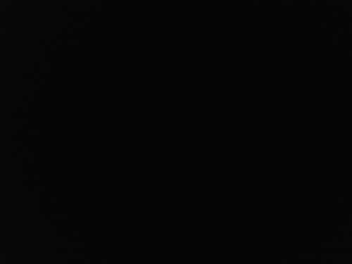 tycoonboi's profile picture. Determination,Dedication,Discipline