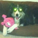 Amy Fielder - @angerer_amy - Twitter