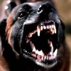 Para más información agregame a skype wahaha571