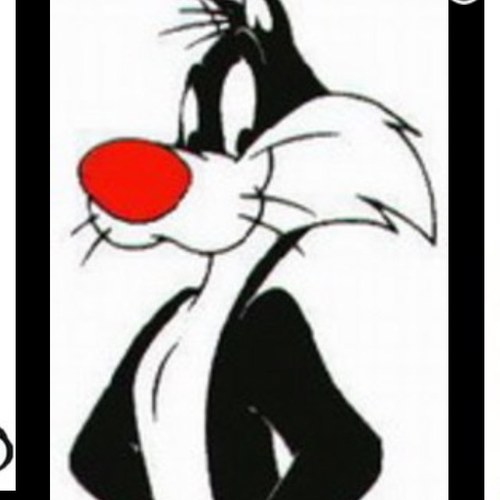 andyfaull's profile picture. 