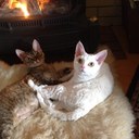 Hilda Bell - @BellHilda - Twitter