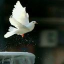 حمودي (@0507894066) Twitter