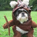 Darren Barnes - @DarrenBarnes11 - Twitter