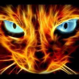 Darkchromium Profile Picture