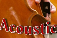 Acoustic Musical Instruments