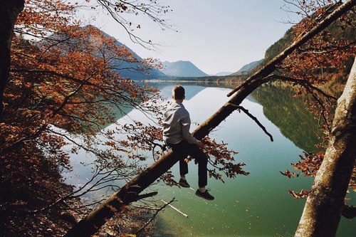 Alejandro090413's profile picture. Amante de la Soledad