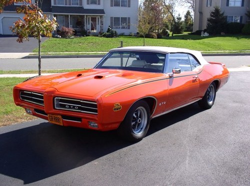 convertablec's profile picture. I Breed Hyenas!