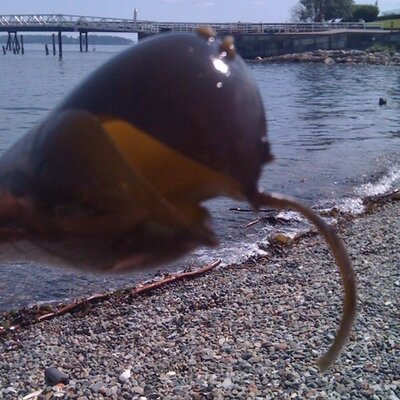 Profile Picture of Lori Moore (@Lormor25) on Twitter