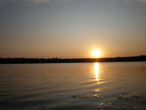 rogersleds's profile picture. 