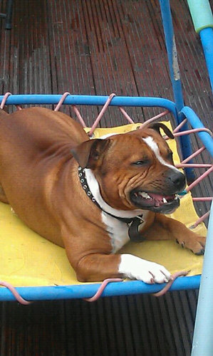 RyanWalker96's profile picture. 