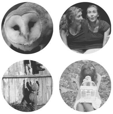 Toronto-based theatre company dedicated to producing challenging and playful new works. 

http://t.co/yFguK4TCef