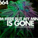 levi gordon - @SmokeyLevi - Twitter