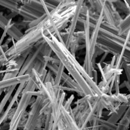 dominoasbestos's profile picture. Reporting on environmental hazards in the development of the Domino Sugar Refinery.