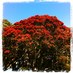 James Service (@james_servo) Twitter profile photo