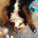 Kelton Webb - @webb_kelton - Twitter