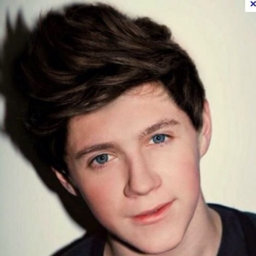 Hi, I am the best friend of Niall Horand and I have a pet unicorn yes its the same probability, said Hello im a real nialler boy. ♥