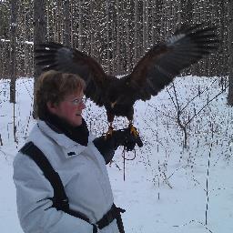 Falconer
IT Specialist