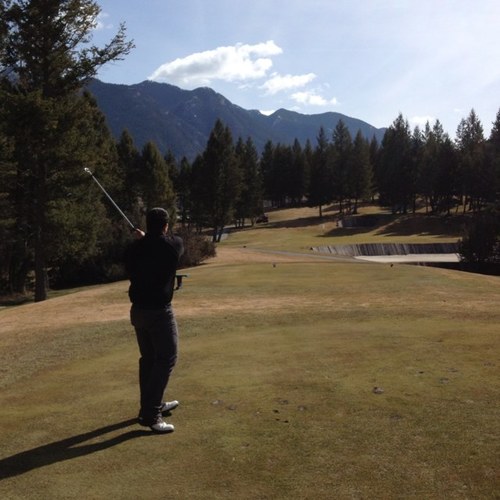 vincenzoscarps's profile picture. 