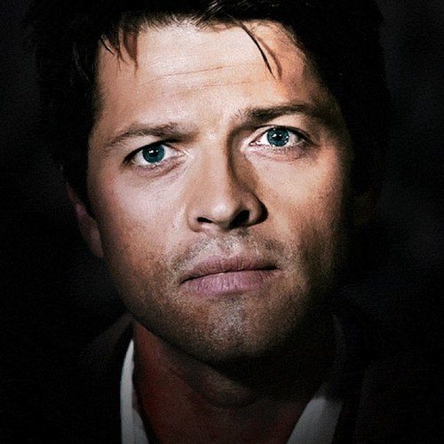 ChainedFeathers's profile picture. Jailed account for @FaultedFeathers