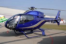 Piloto de helicoptero, Agente inmobiliario y negocios diversos.