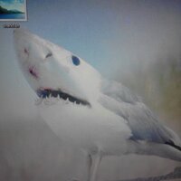 J (@jfuckinzwart) Twitter profile photo