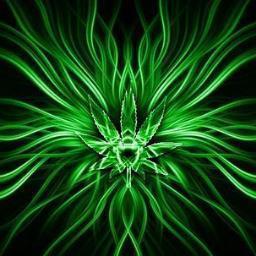 elmer2897's profile picture. 