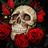 vampiro509's profile image
