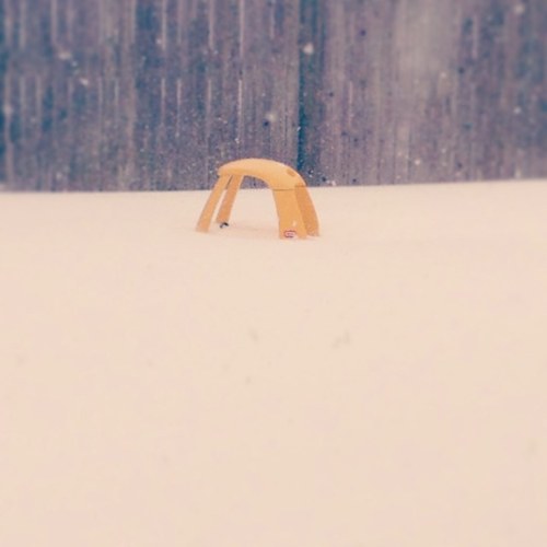 joshuamoriarty's profile picture. 