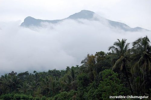 rajavenkat17's profile picture. 