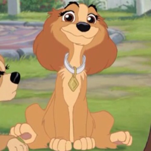 Danielle here Me a Tomboyish dog but i LOVE baths I am a small cocker spaniel pup with a white collar also a AWESOME PUP Owner @ItsFlynnRider