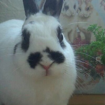 ちる