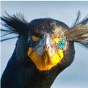 jim persinger - @ANittwit - Twitter